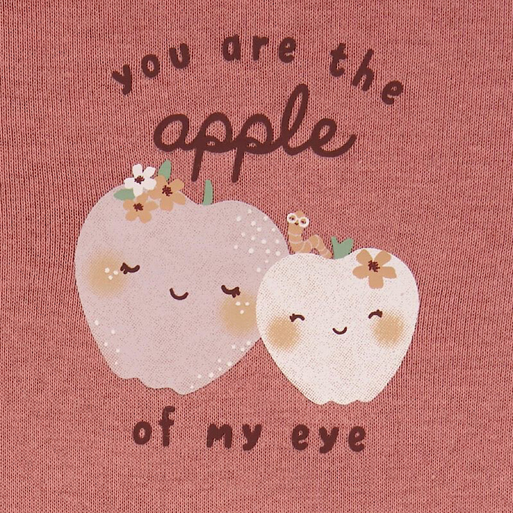 Set Carter’s pañaleros manzanitas para bebita - JORHELITOS - JORHELITOS