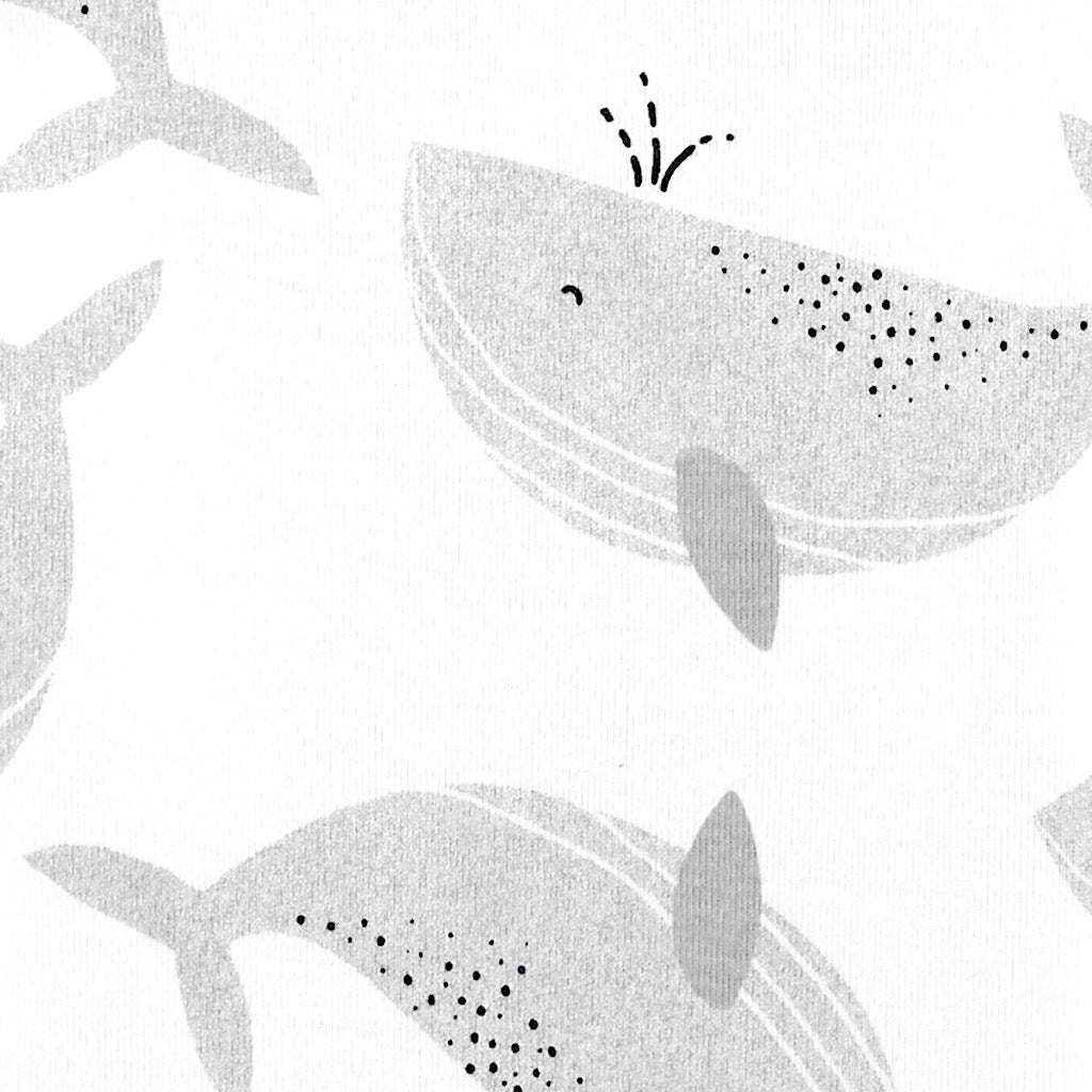 Set de 5 pañaleros Carter’s dinosaurios para bebito - JORHELITOS - JORHELITOS